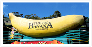 coffs.png