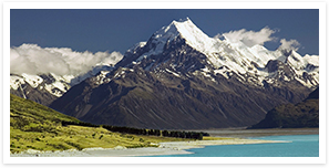 nz.png